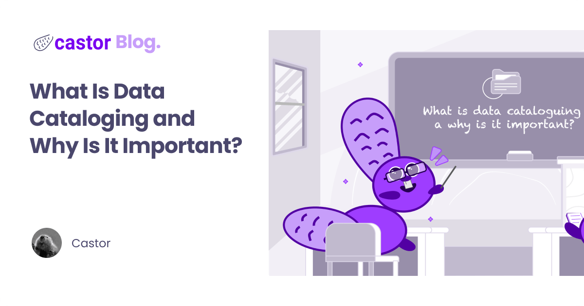 What Is Data Cataloging and Why Is It Important Castor Blog